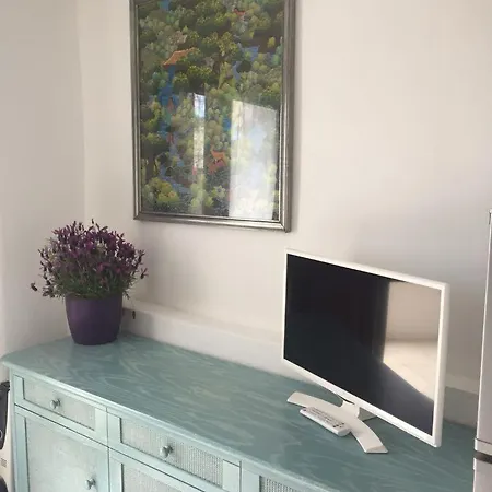 Blue Portrait House Apartment